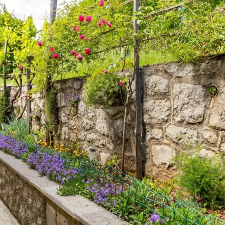 Secret Garden By Guide Vila *